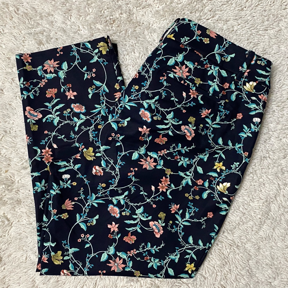 ann Taylor loft The riviera pants size 12